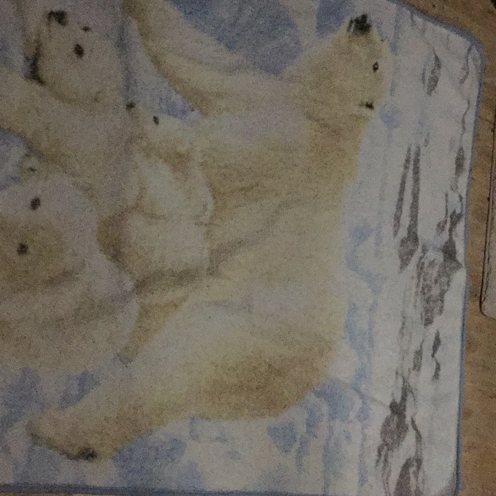 Towel
